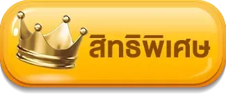 สิทธิพิเศษ ufa4s